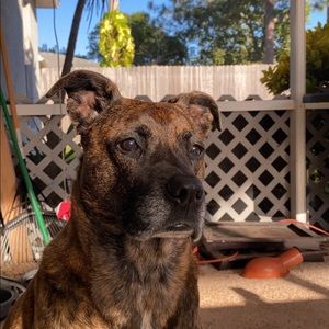 Meet your Posher, Clint